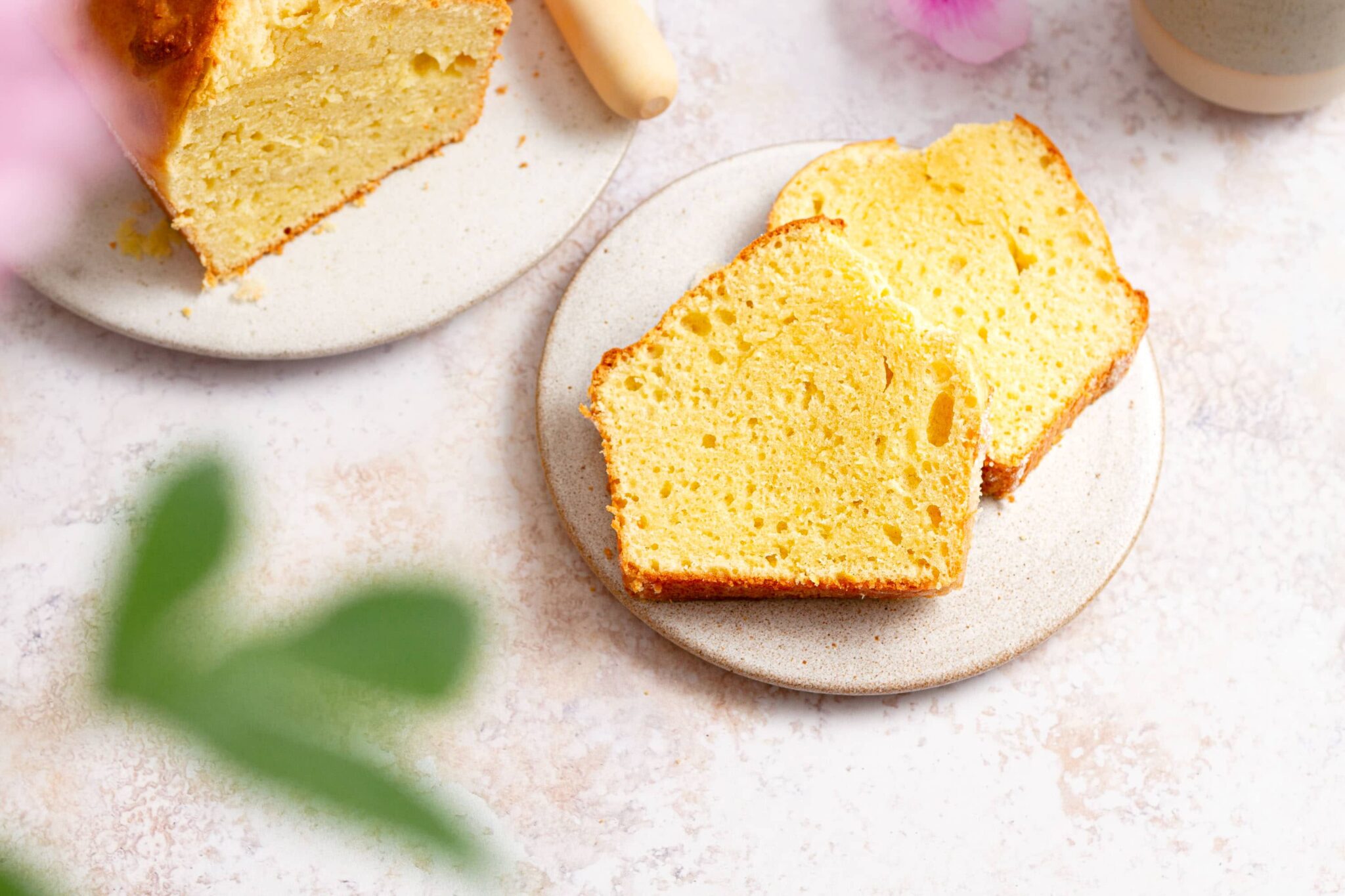 Rezept für Ricotta-Zitronen-Kuchen mit Olivenöl • Genussfreude